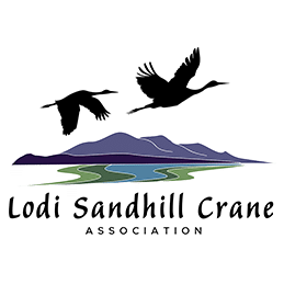 Lodi Sandhill Crane Association